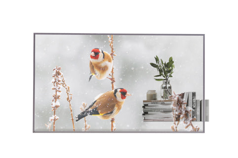 LG - 55EW5P-M - 55 " Display, FHD OLED 200/600nit