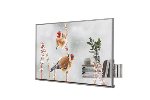 LG - 55EW5P-M - 55 " Display, FHD OLED 200/600nit